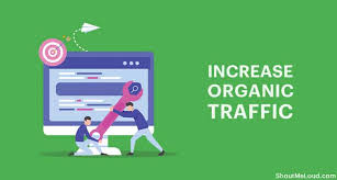 Organic Traffic: How to increase Visitors to Your Website Naturally